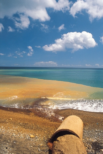 Biodiversity Biweekly #10 (0916/2025 edition) Inform, Inspire, Impact, image size:1080x1617