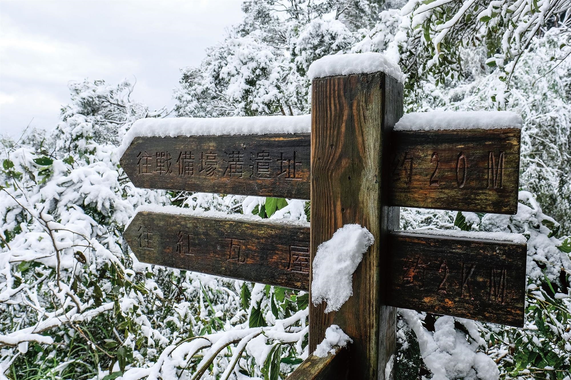 川田まみ 2008 JANUARY LIVE in TAIWAN 819e83f1e562b33d4f7fd7a5dff5ae