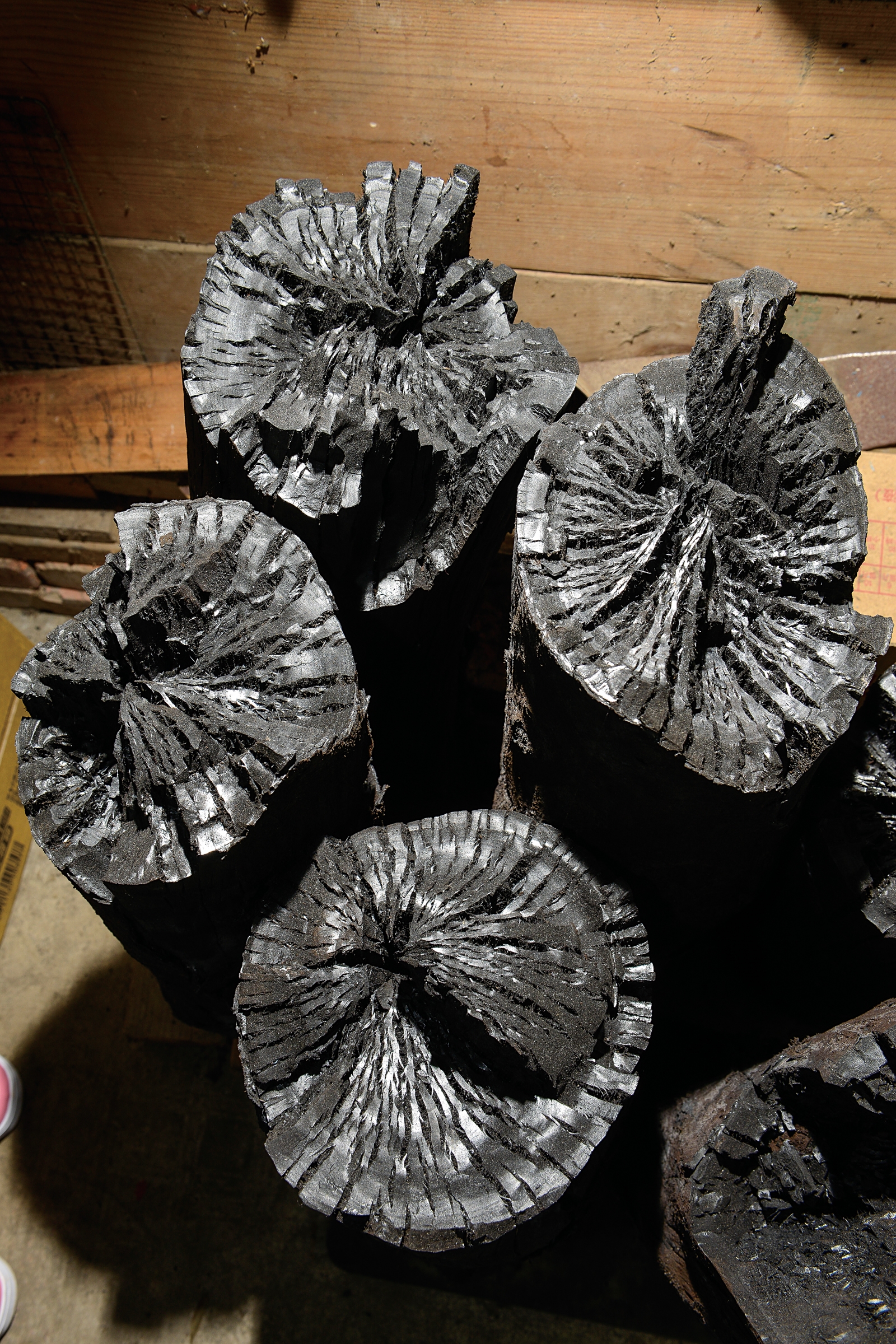 伝統の炭焼きを守り続ける 新竹宝山郷の「木炭の家」 - Taiwan Panorama