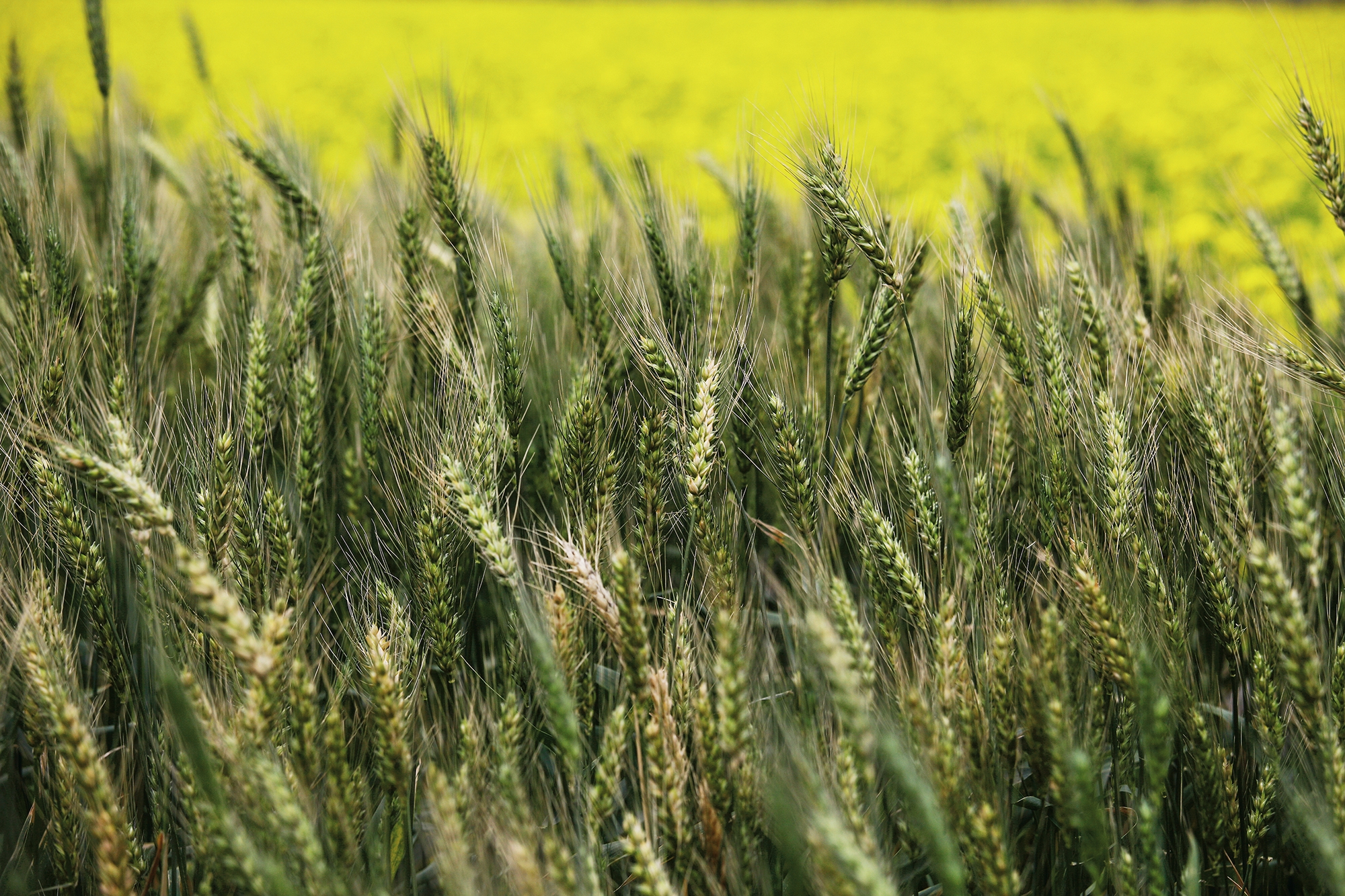 �q������@���ѥ]�a�x