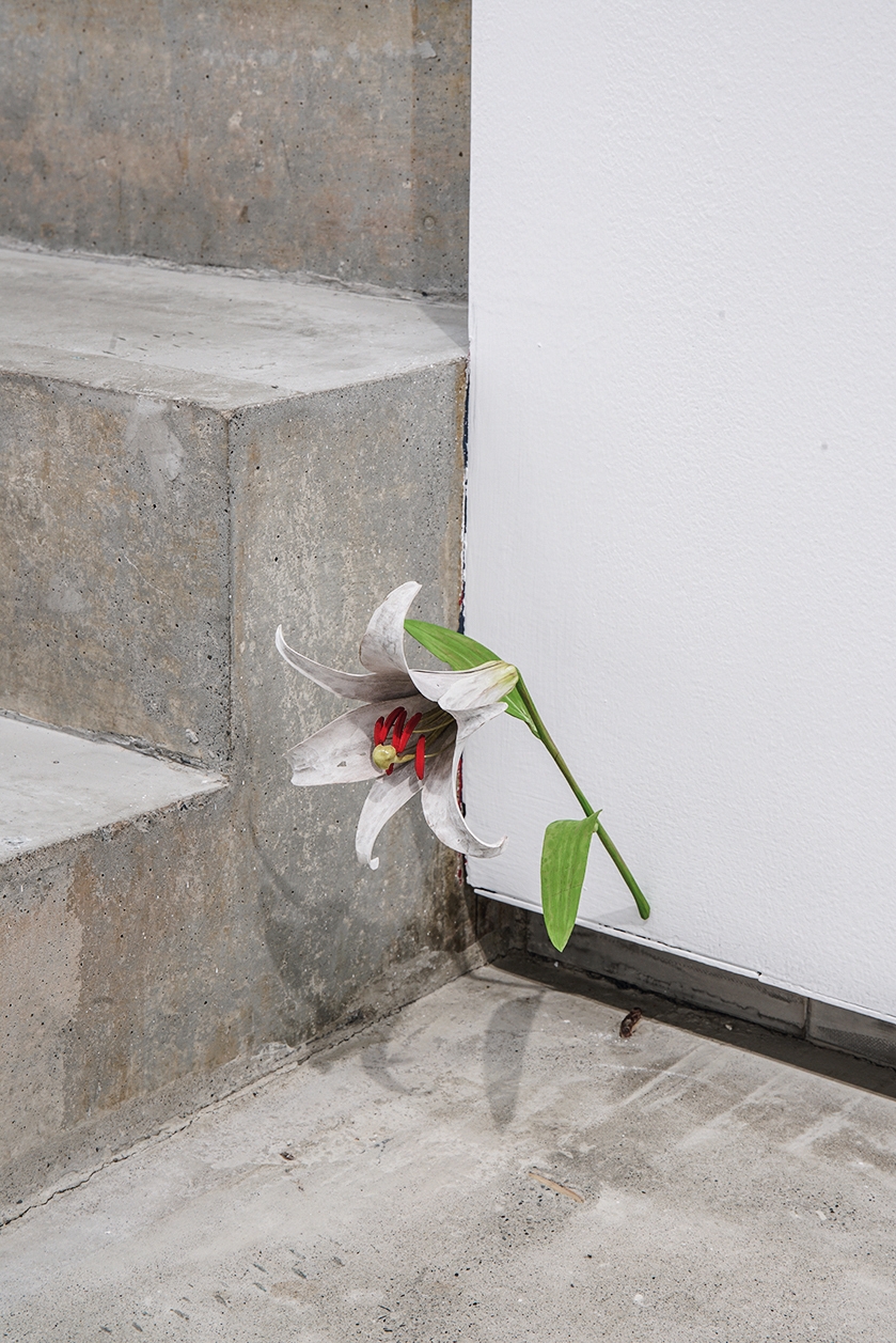 九九峰山麓に佇む 毓繍美術館 - Taiwan Panorama, image size:1080x1618