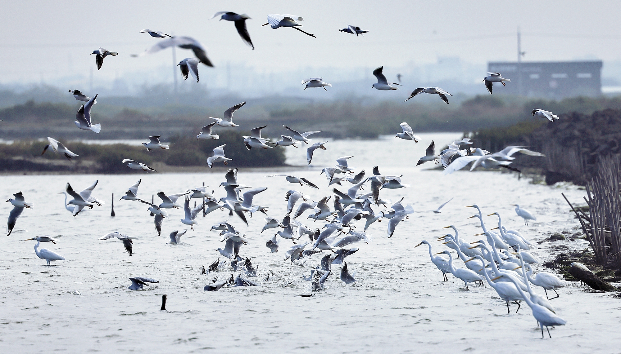 �u�e�v���u�@��   