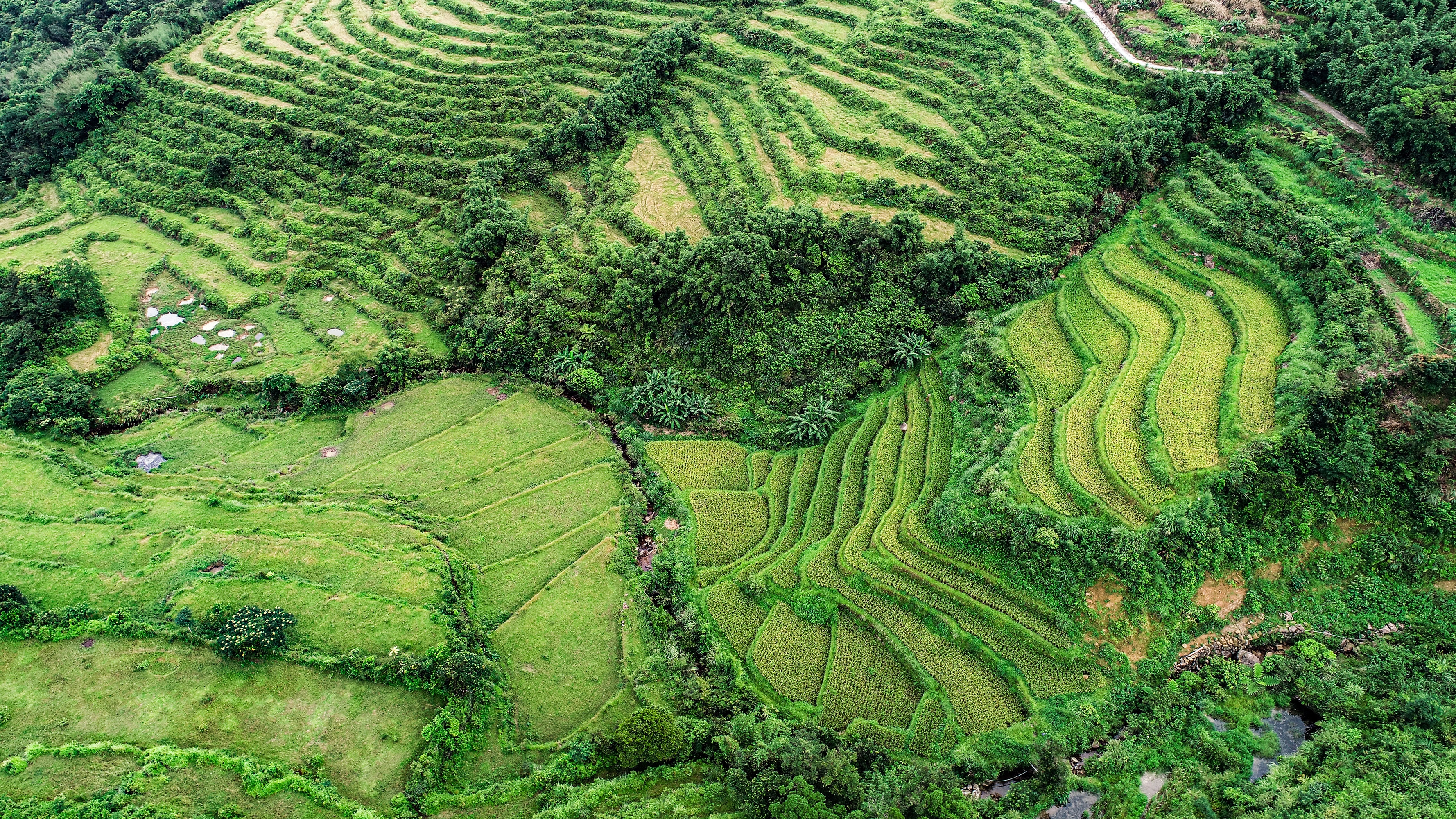 ´�X�x�W����a�P�űa