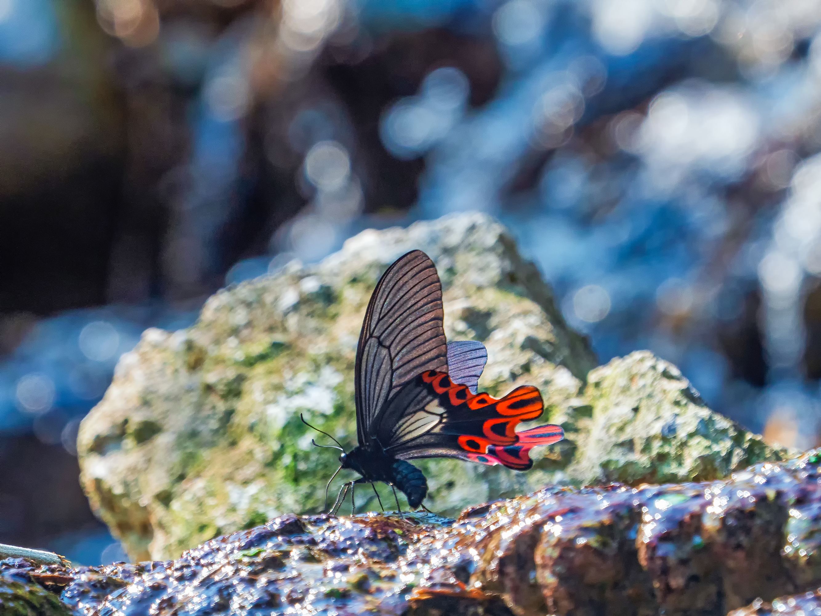 �m���ءn��v�x��