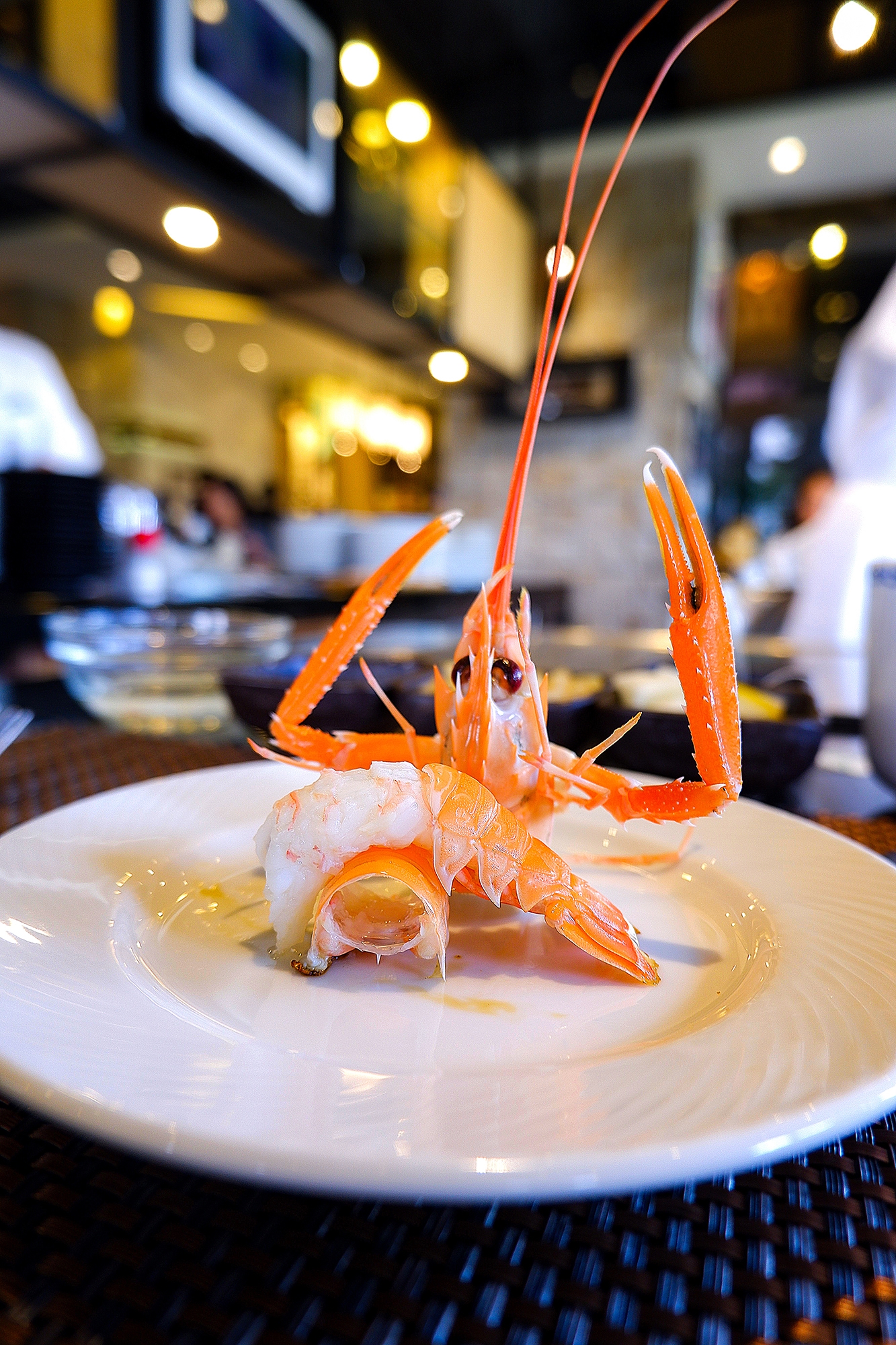 �x�W�����M�_    