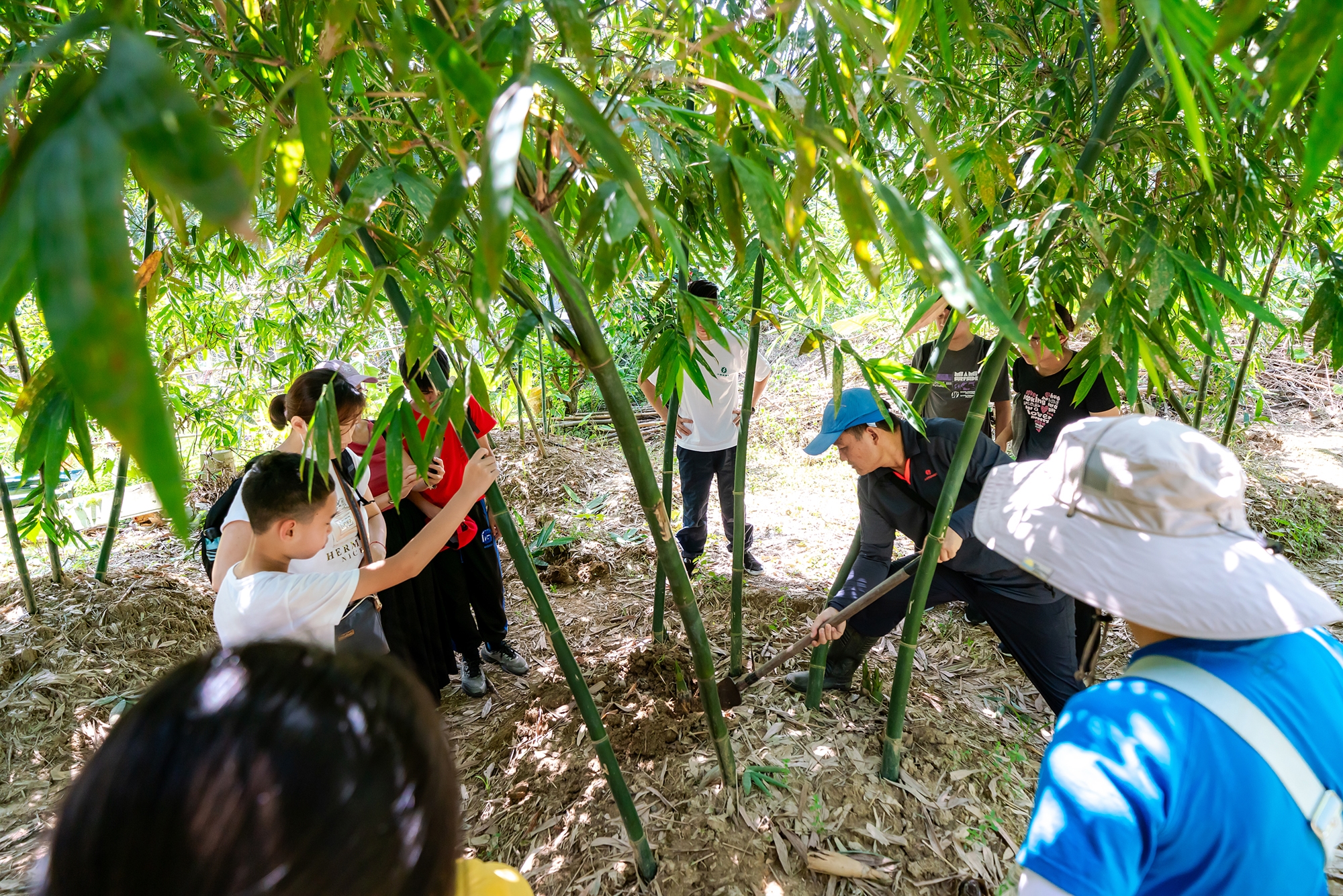 台湾？／[載雲峰・叢竹図]／中国字画 ortofon MC20 MCカートリッジ 針折れ