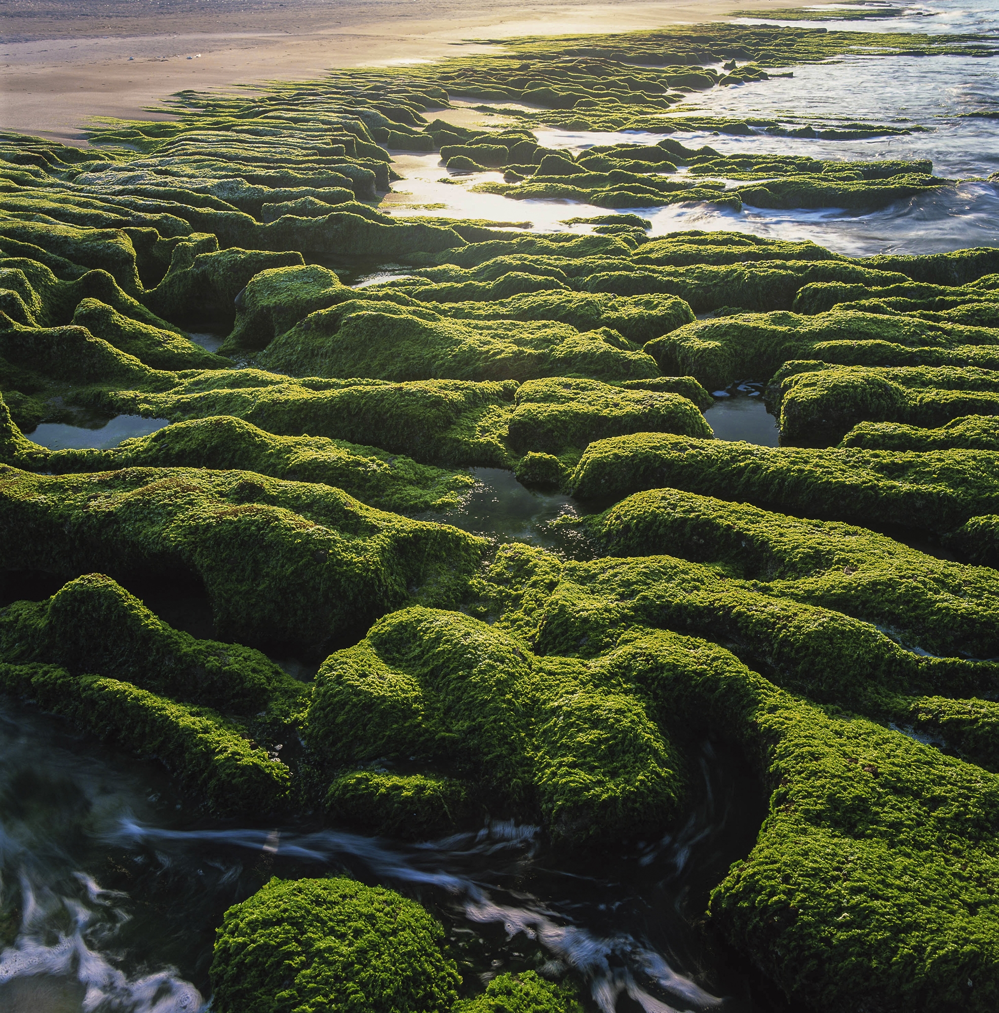 �x�W��a�ͺA�t