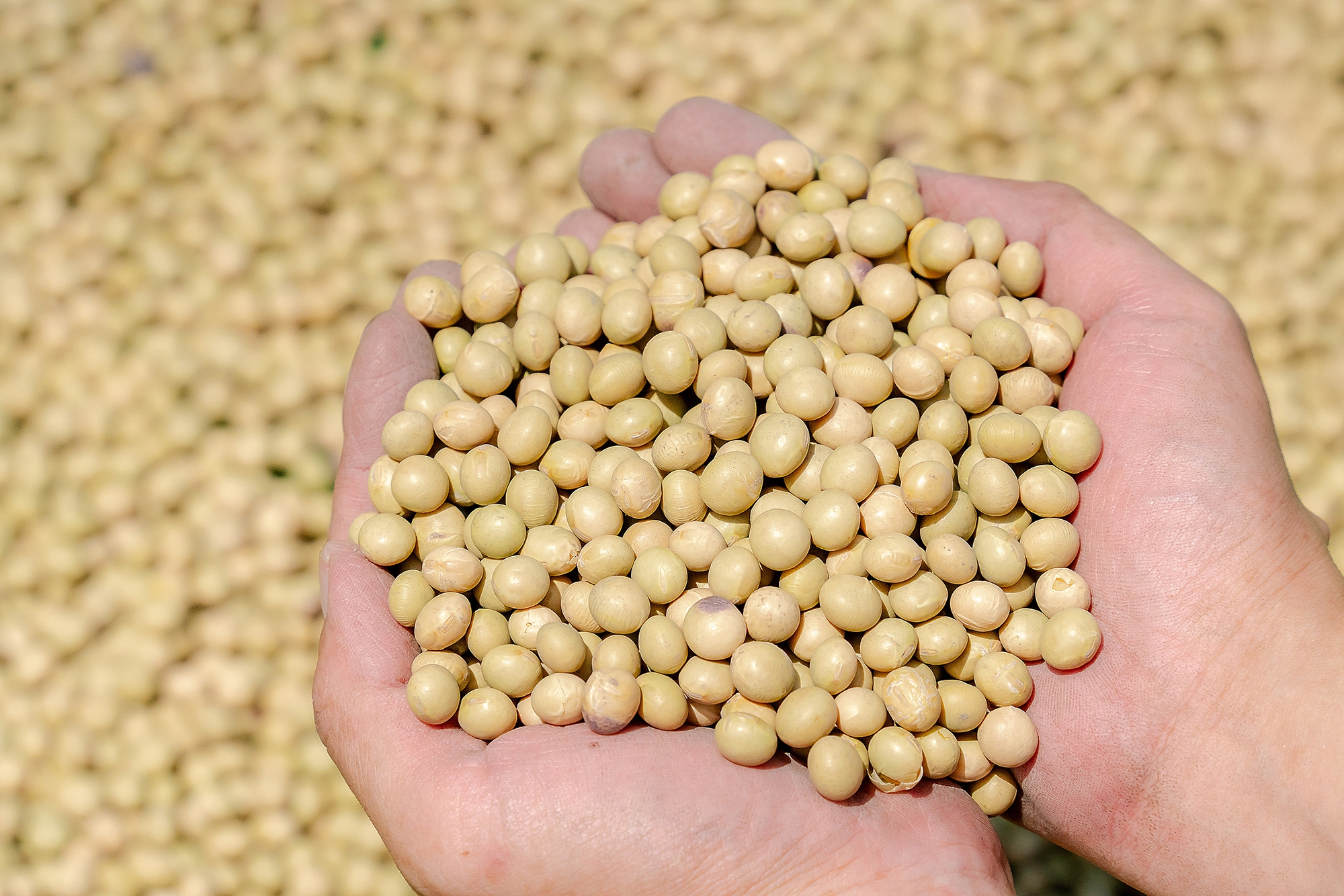 ��j���ئ^��