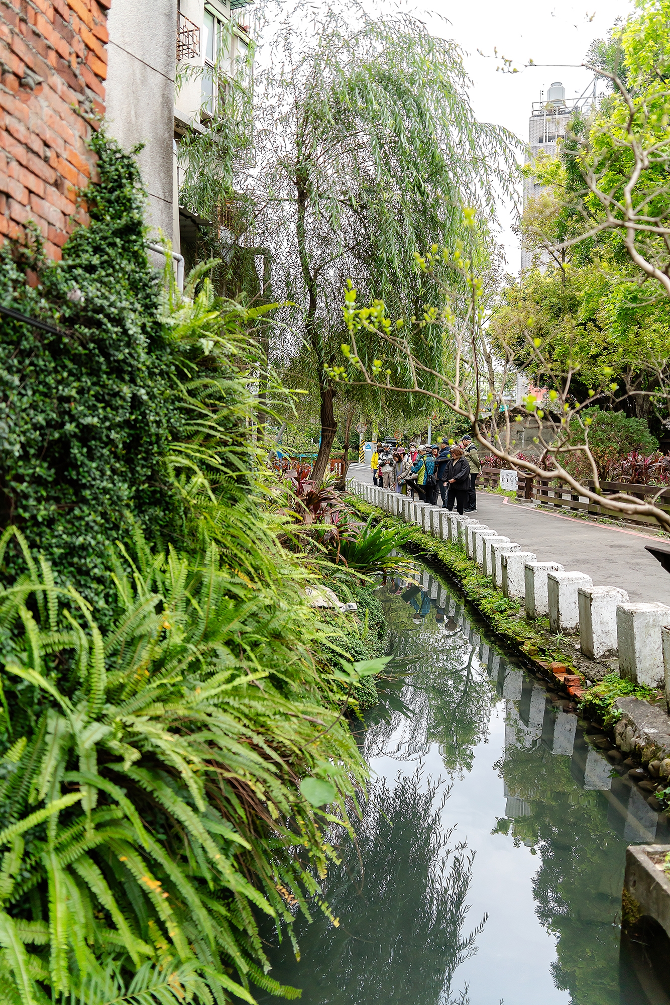 �ڮa�e�����p�e    