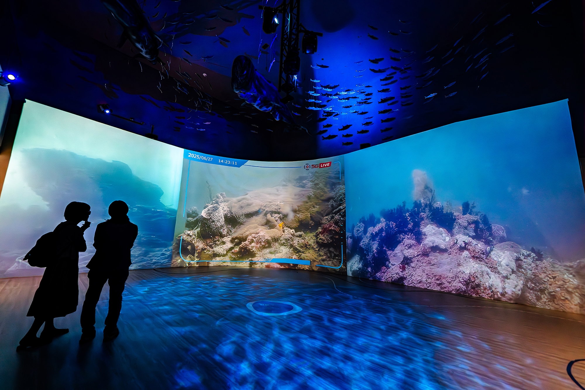 �����򦨬��i��  