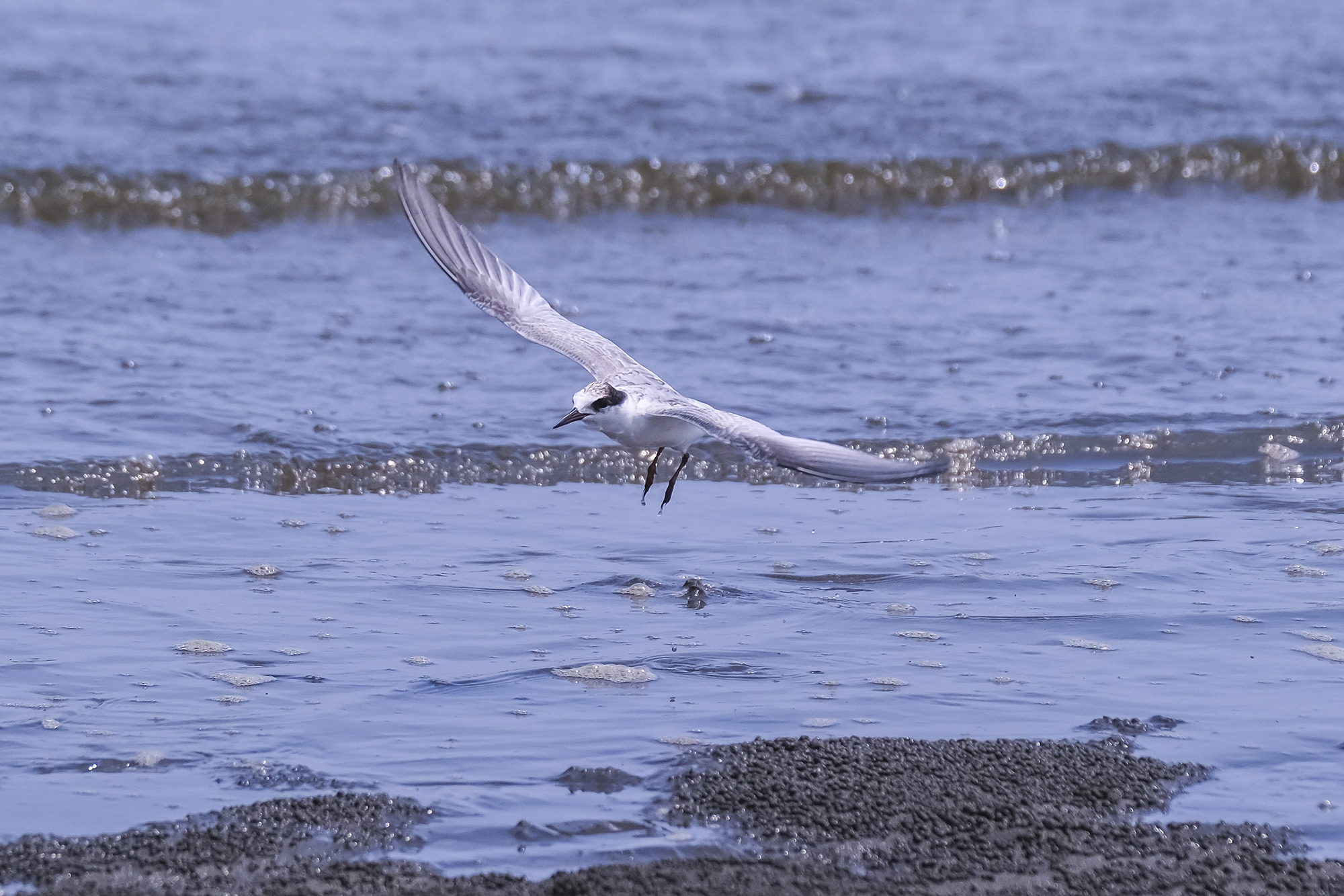 �C�~�L�Ѫ��öQ�۹J    