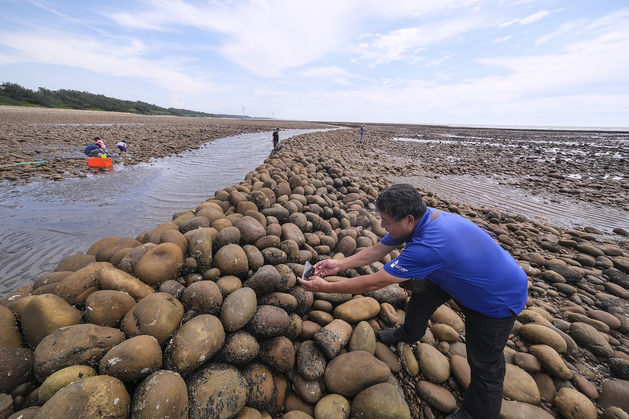 �R�u���v����