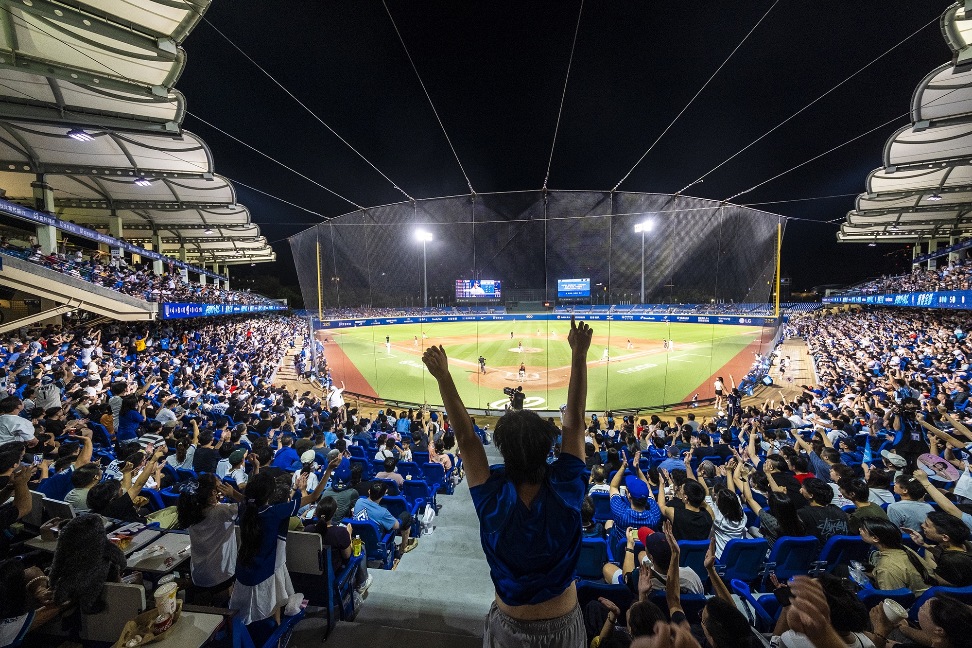 �x���������O�L����