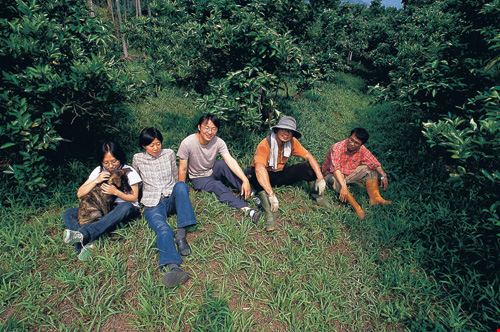 做土地的好朋友 溪底遙的柳丁夢 台灣光華雜誌