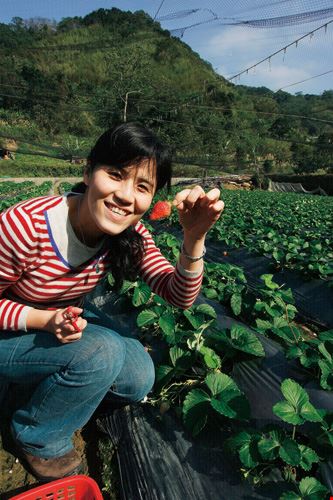 山居野趣 卓也小屋 台灣光華雜誌