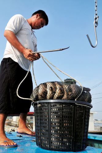 ハタ王国の栄光と危機 台灣光華雜誌 Taiwan Panorama 國際化 雙語編排 文化整合 全球華人的雜誌