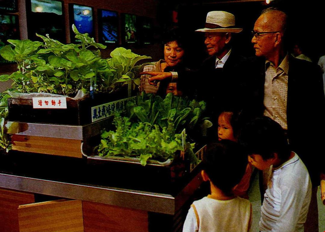 植物不再需要泥土 無土栽培 台灣光華雜誌