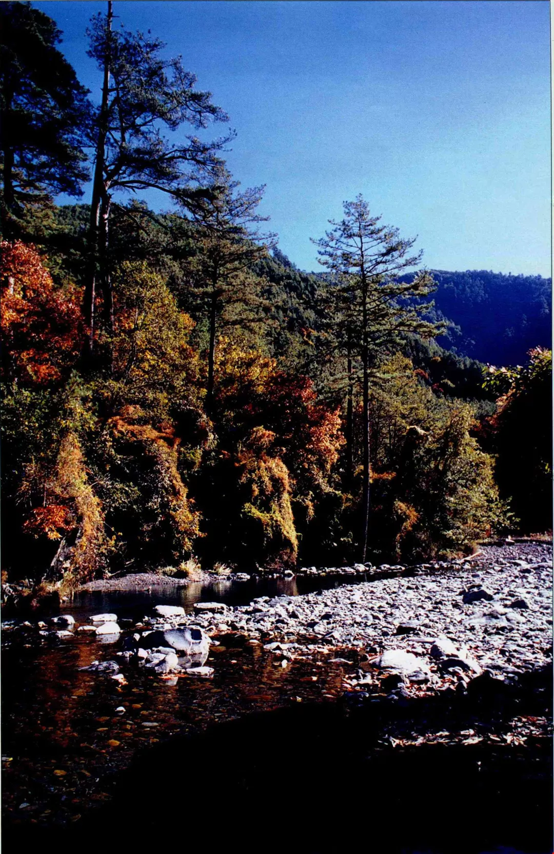 保育名單之外 台灣光華雜誌