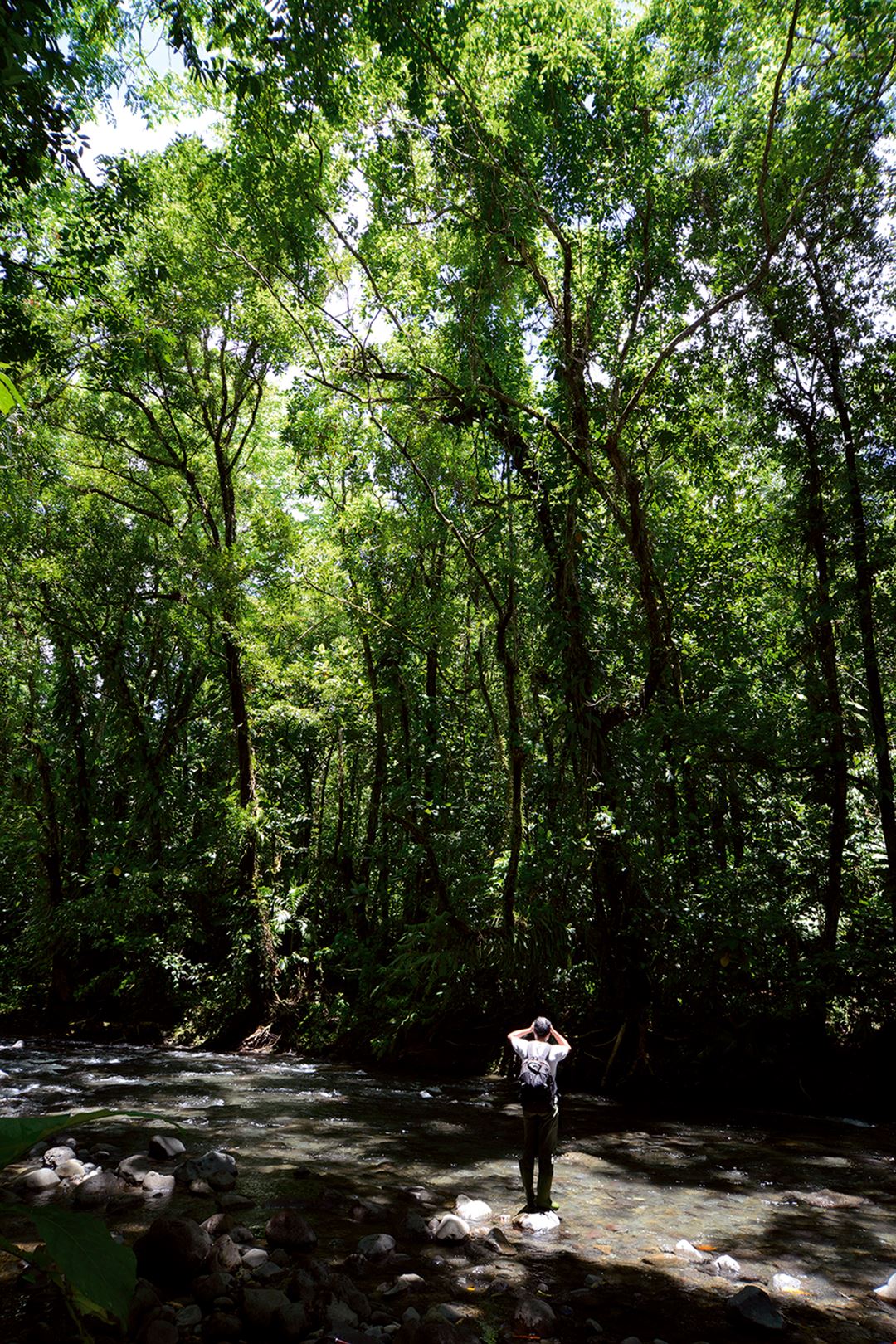 難尋難覓 台灣野生蘭 台灣光華雜誌