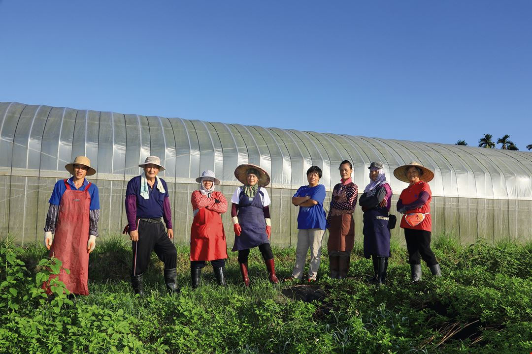 性別化創新遇見智慧科技女農 台灣光華雜誌