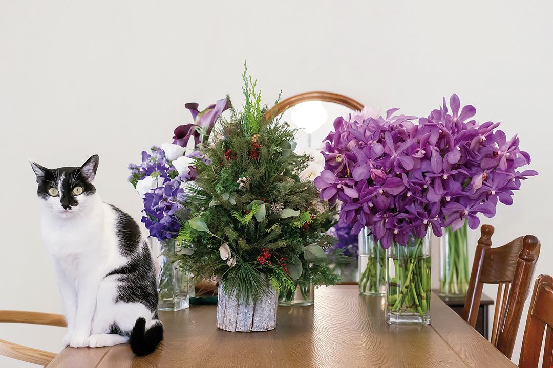 花を暮らしに コロナ禍の生活に彩りを Taiwan Panorama