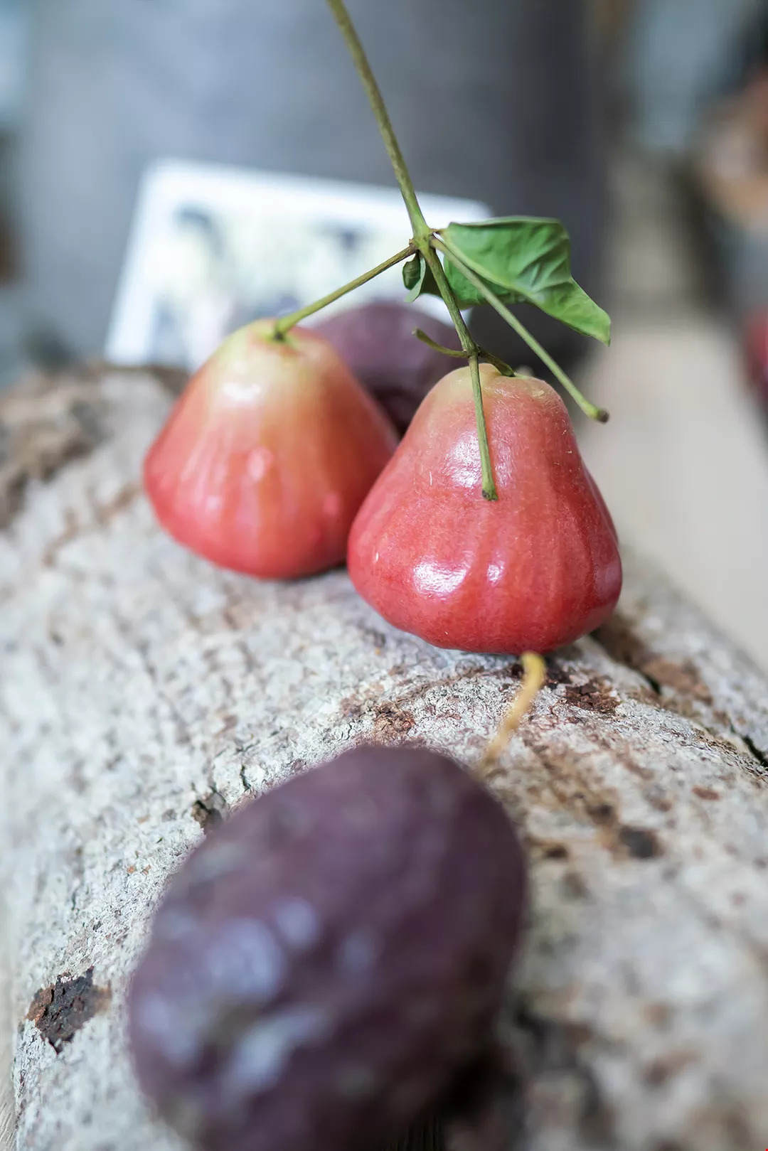 フルーツハンターの思い 農家と消費者を結ぶ 知果堂 Taiwan Panorama