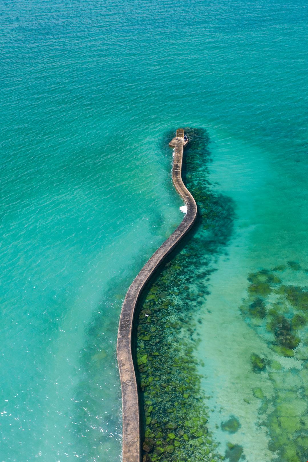 海洋的子民 台灣光華雜誌